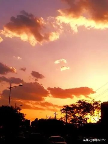 如何评价袁隆平的一生？