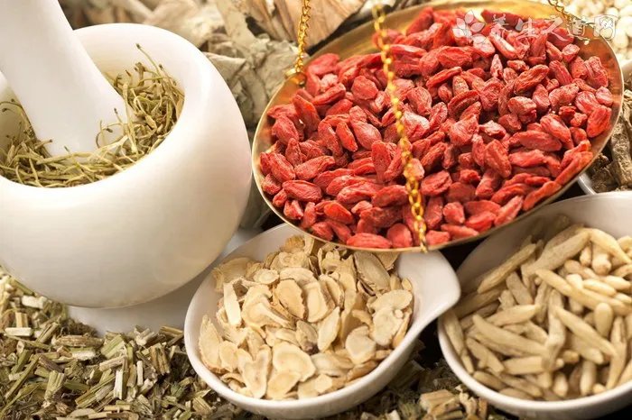 巴哥犬皮肤病用什么药