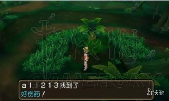 《口袋妖怪究极日月》图文攻略 全任务图文流程攻略