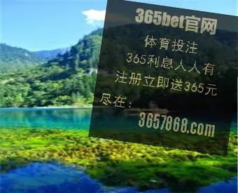 文斯-卡特和布鲁斯鲍文到底有什么恩怨啊？