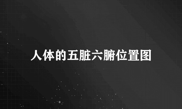 人体的五脏六腑位置图