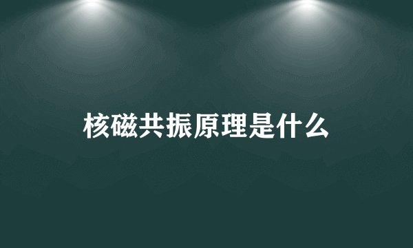 核磁共振原理是什么