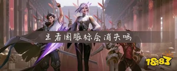 王者荣耀国服标会消失吗 王者荣耀国服标存在规则