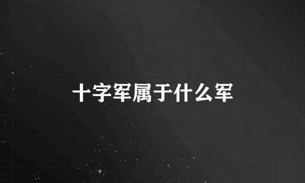 十字军属于什么军