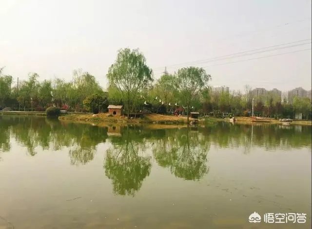 荥阳都有什么好玩的地方？