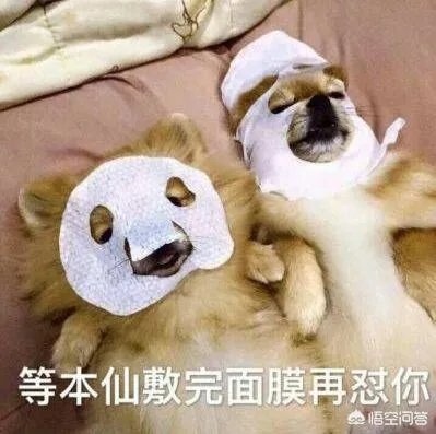 大家分享一下最搞笑的头像图片?