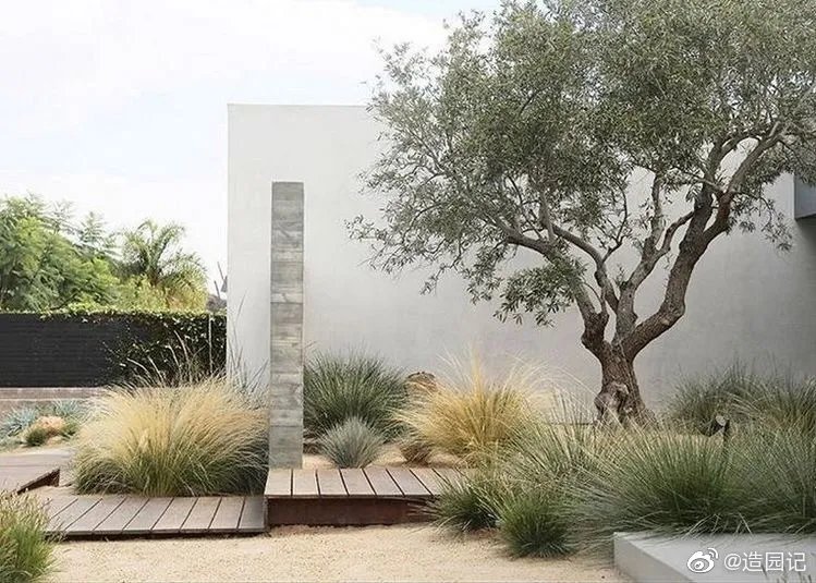 现代感很强的花境设计及搭配，与线条颜色都比较简约的建筑融合，...