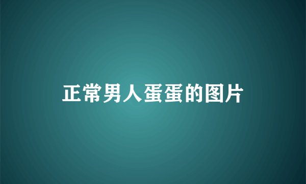 正常男人蛋蛋的图片