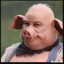 大家分享一下最搞笑的头像图片?