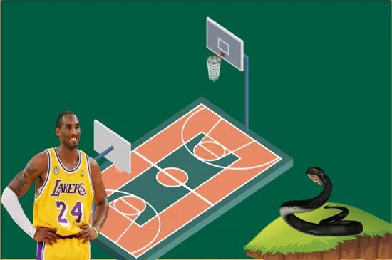 黑曼巴是什么意思