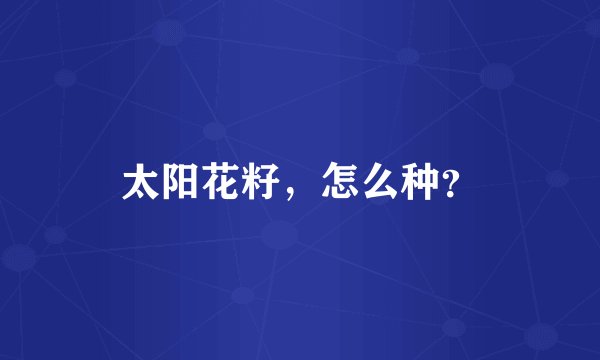 太阳花籽，怎么种？