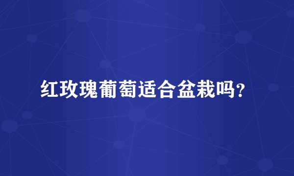 红玫瑰葡萄适合盆栽吗？