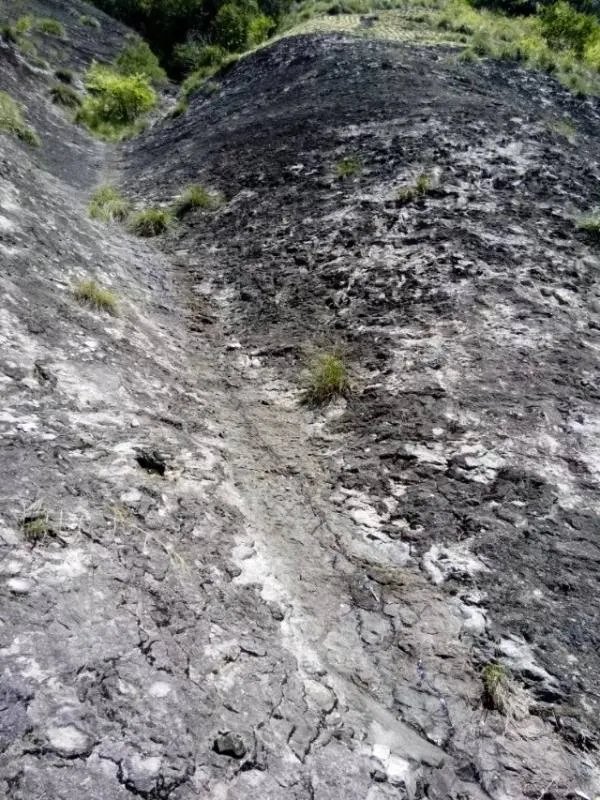 雁荡山好玩吗？