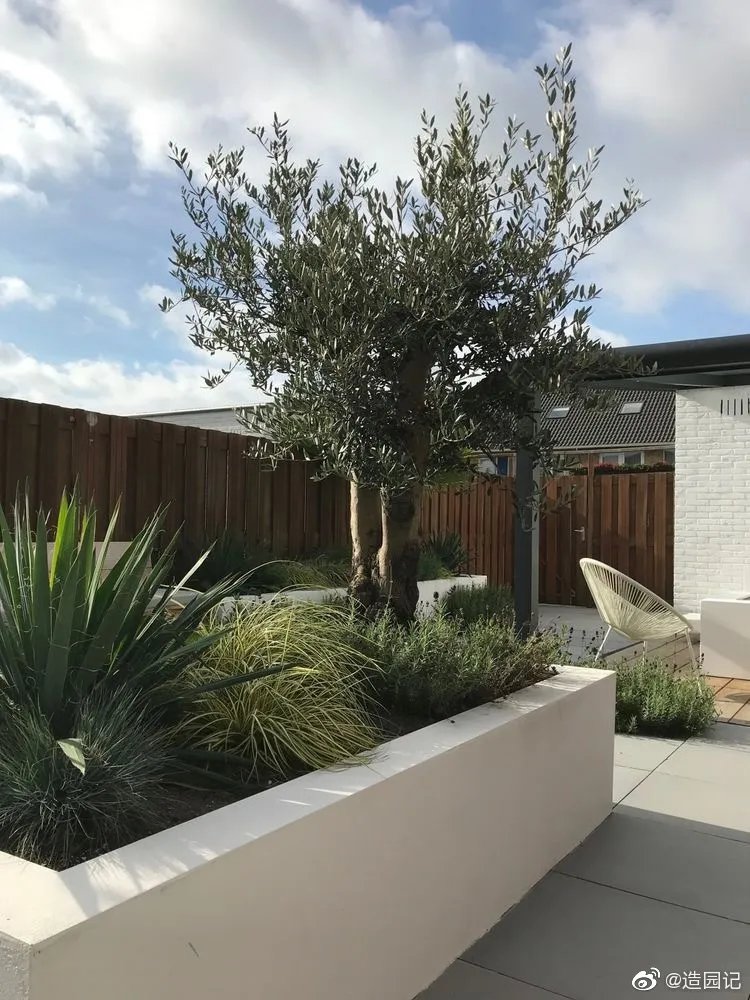 现代感很强的花境设计及搭配，与线条颜色都比较简约的建筑融合，...