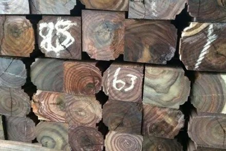 卢氏黑黄檀要多少钱？卢氏黑黄檀为什么这么贵？