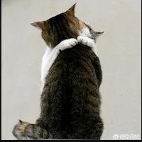 大家分享一下最搞笑的头像图片?