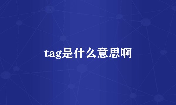 tag是什么意思啊