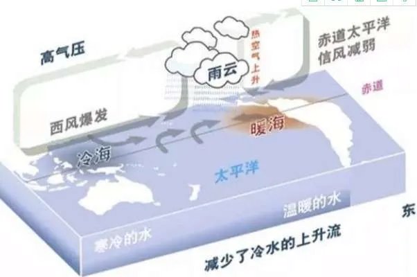 什么是厄尔尼诺现象和拉尼娜现象 两者之间有什么区别
