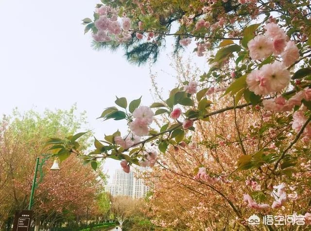 荥阳都有什么好玩的地方？