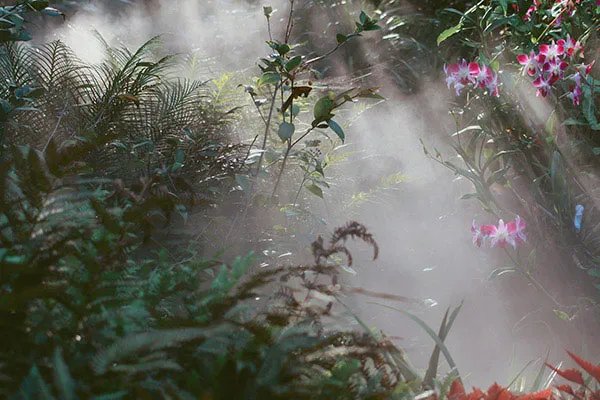 万石植物园要门票吗 万石植物园门票多少钱