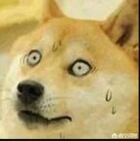 大家分享一下最搞笑的头像图片?