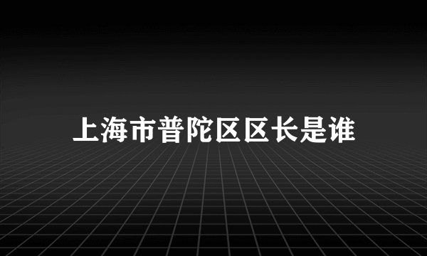 上海市普陀区区长是谁