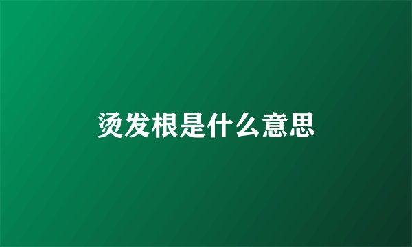 烫发根是什么意思