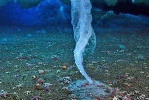 海底里的危险的“死亡冰柱”，究竟是怎么产生的？