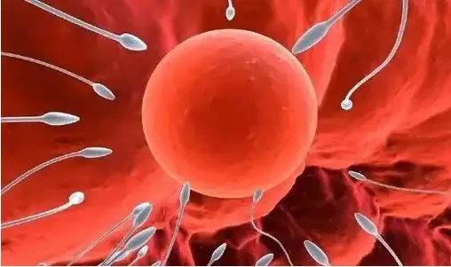 第三代试管女性受罪吗-郴州哪家医院可以做三代试管婴儿? 具体的成功率和费用是多少?