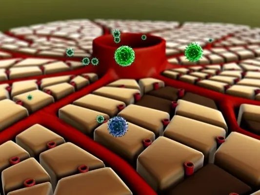 炭疽杆菌该怎样预防