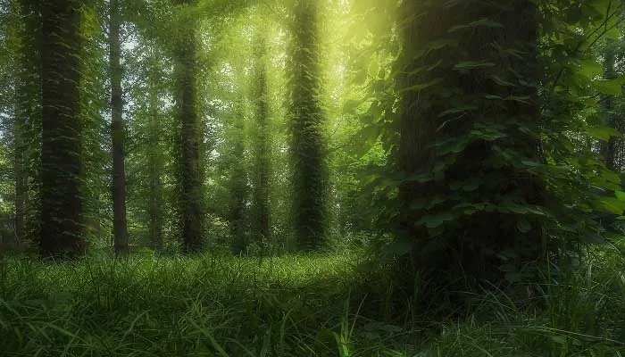 全球三大生态系统 全球三大生态系统是哪三个