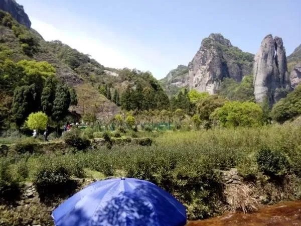 雁荡山好玩吗？