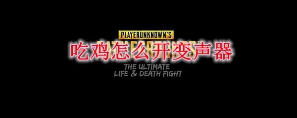 吃鸡怎么开变声器