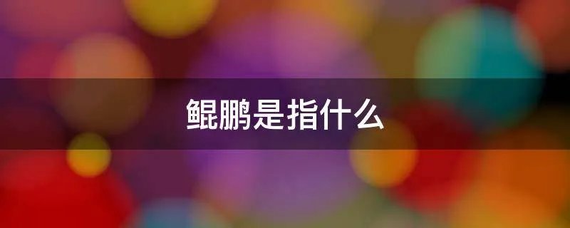 鲲鹏是指什么